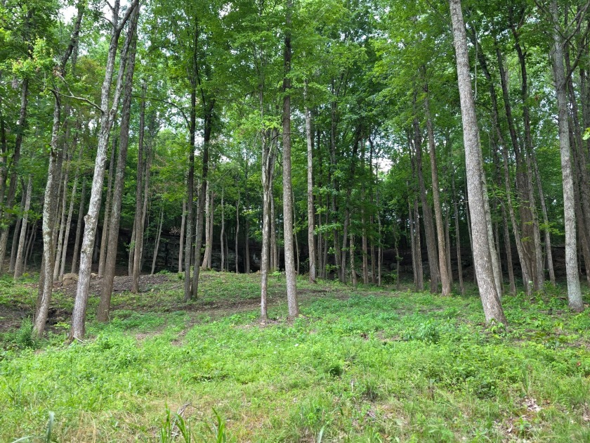 4 Acres to Build Your Dream Home Close to the Lake! - photo 6