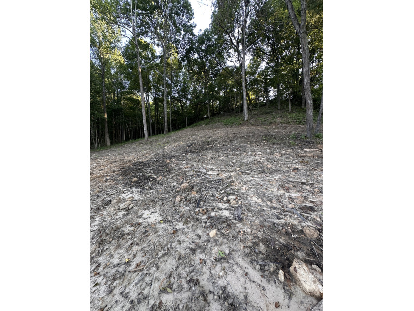 4 Acres to Build Your Dream Home Close to the Lake! - photo 9