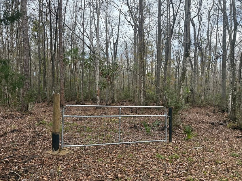 Discover the opportunity to own a beautiful vacant lot in - photo 2