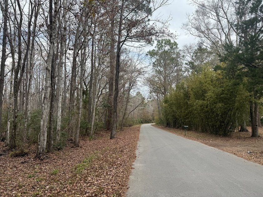 Discover the opportunity to own a beautiful vacant lot in - photo 3