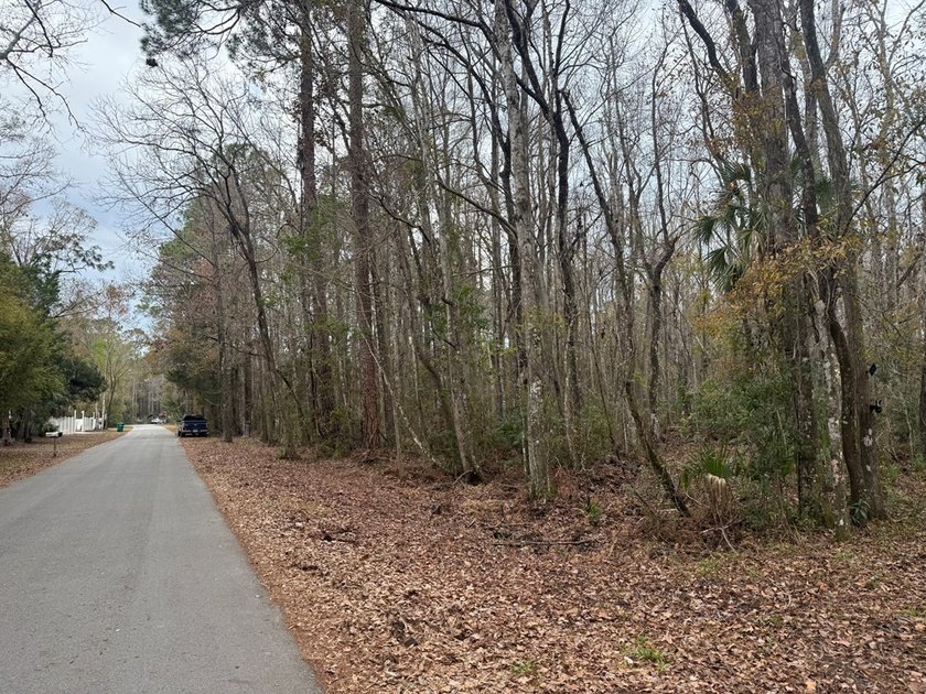 Discover the opportunity to own a beautiful vacant lot in - photo 4