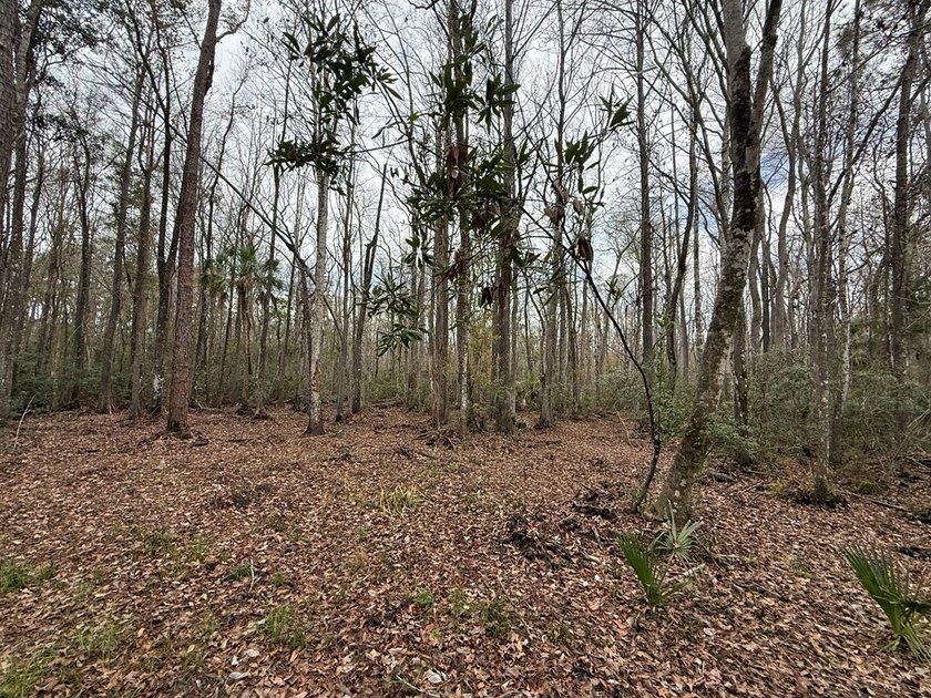 Discover the opportunity to own a beautiful vacant lot in - photo 7