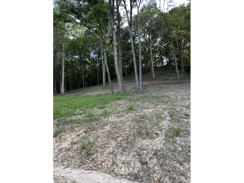 4 Acres to Build Your Dream Home Close to the Lake! - photo 10