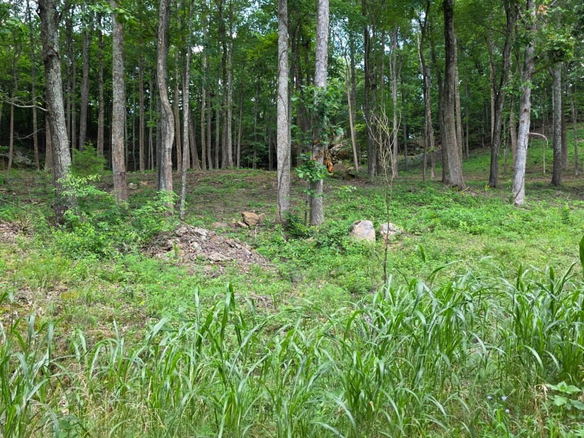 4 Acres to Build Your Dream Home Close to the Lake! - photo 7