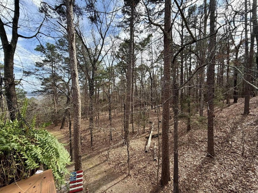 Lake-view home with so much to offer. This 3-bedroom, 2 bath - photo 34