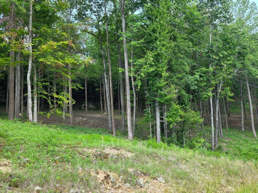 4 Acres to Build Your Dream Home Close to the Lake! - photo 3