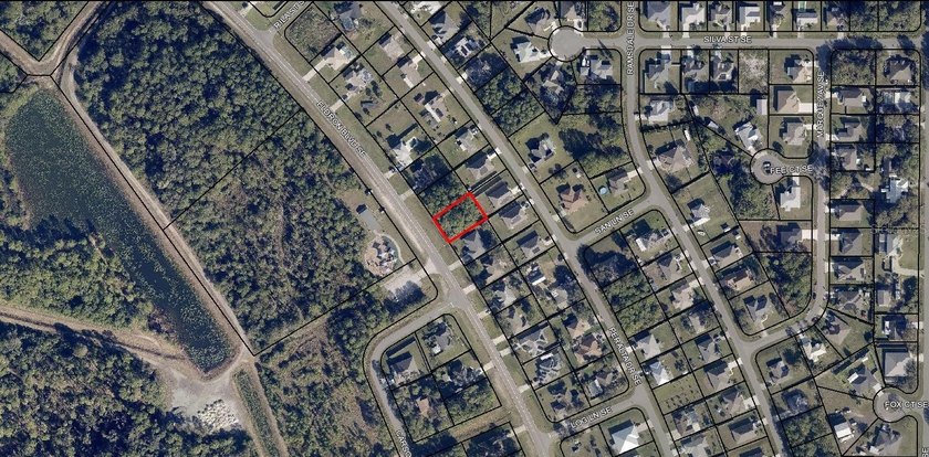 A VACANT LOT IN PALM BAY IN BREVARD - photo 2