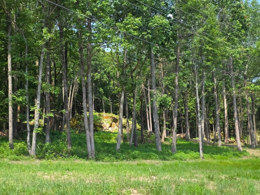 Dreamed of a Family/Friend Compound by the Lake?! - photo 10