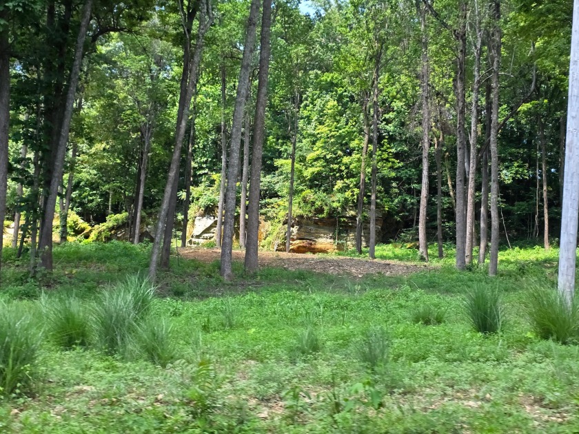 Dreamed of a Family/Friend Compound by the Lake?! - photo 25