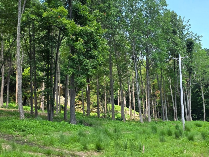Dreamed of a Family/Friend Compound by the Lake?! - photo 23