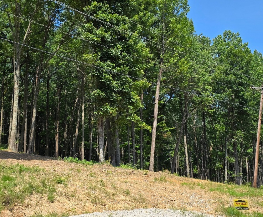 Dreamed of a Family/Friend Compound by the Lake?! - photo 7