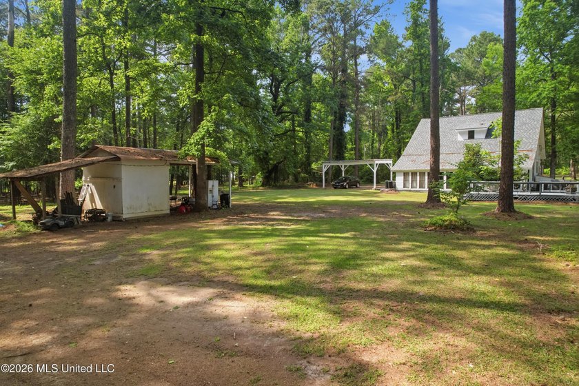 Peaceful Country Living on 3.3 Acres Between Summit &amp; McComb, MS - photo 28