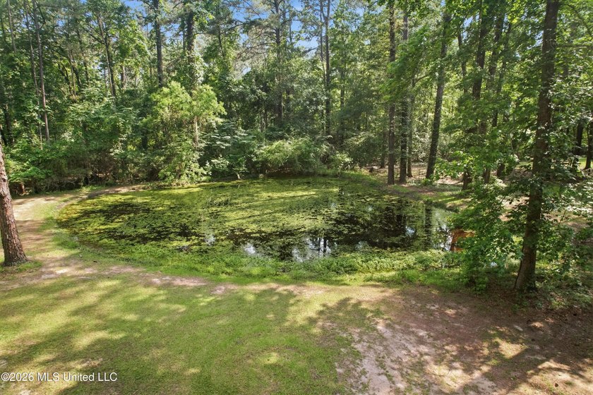 Peaceful Country Living on 3.3 Acres Between Summit &amp; McComb, MS - photo 29