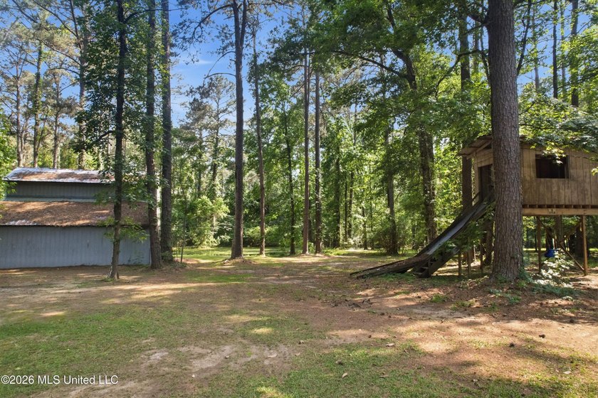 Peaceful Country Living on 3.3 Acres Between Summit &amp; McComb, MS - photo 31
