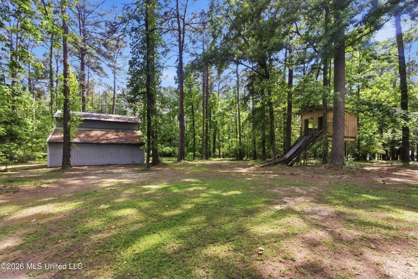 Peaceful Country Living on 3.3 Acres Between Summit &amp; McComb, MS - photo 32