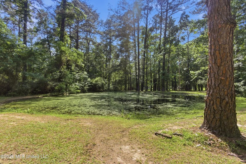 Peaceful Country Living on 3.3 Acres Between Summit &amp; McComb, MS - photo 33
