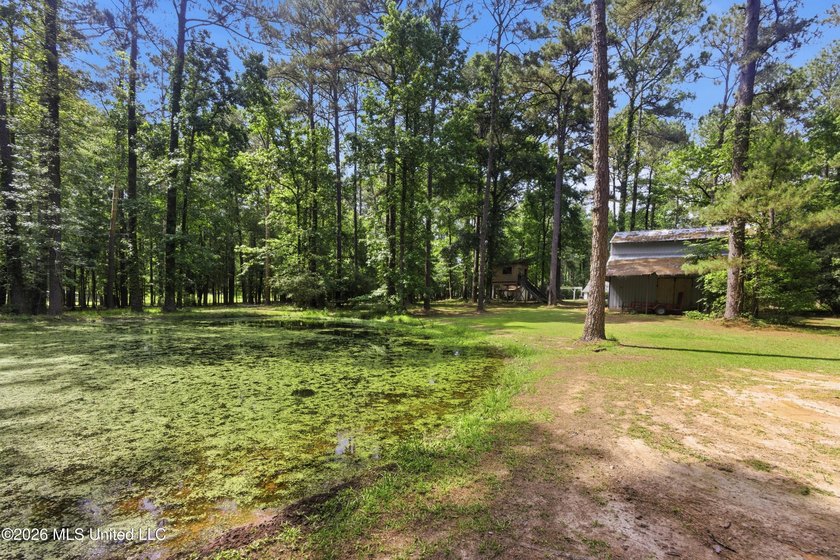Peaceful Country Living on 3.3 Acres Between Summit &amp; McComb, MS - photo 34