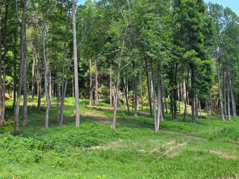 Dreamed of a Family/Friend Compound by the Lake?! - photo 21