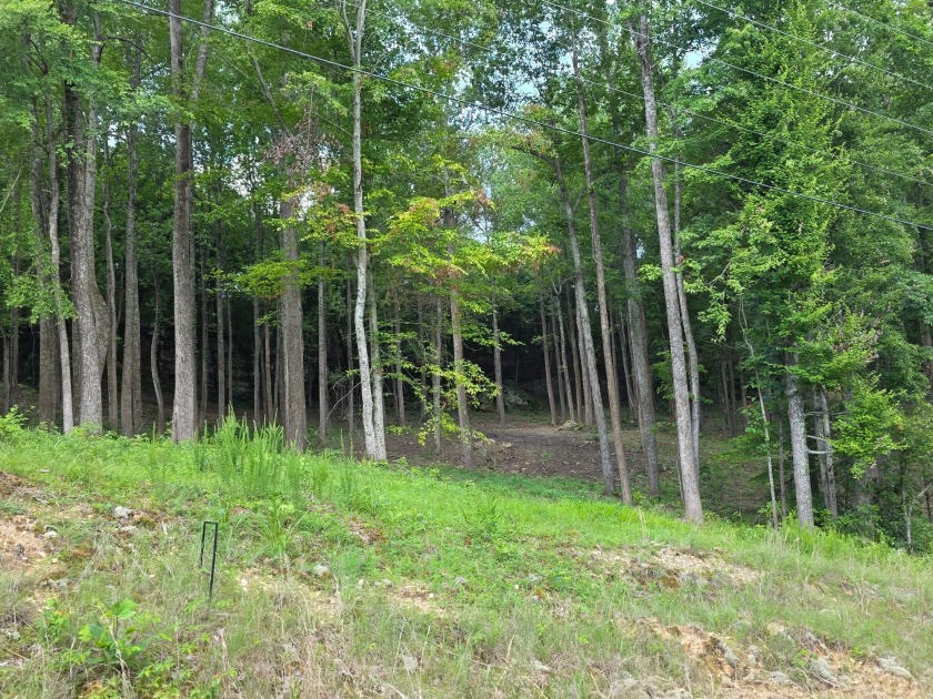 Dreamed of a Family/Friend Compound by the Lake?! - photo 28