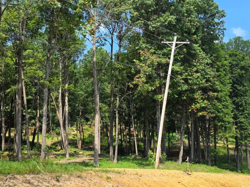 Dreamed of a Family/Friend Compound by the Lake?! - photo 17