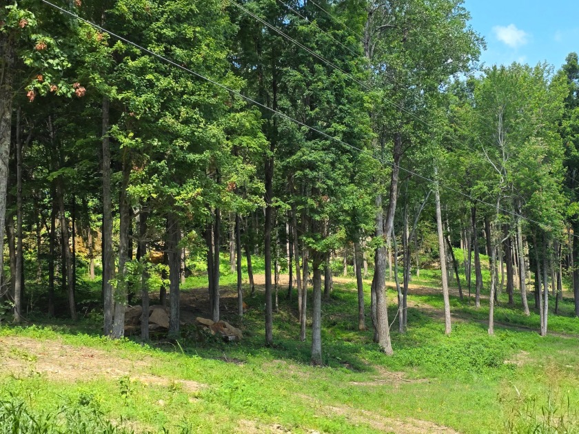 Dreamed of a Family/Friend Compound by the Lake?! - photo 19