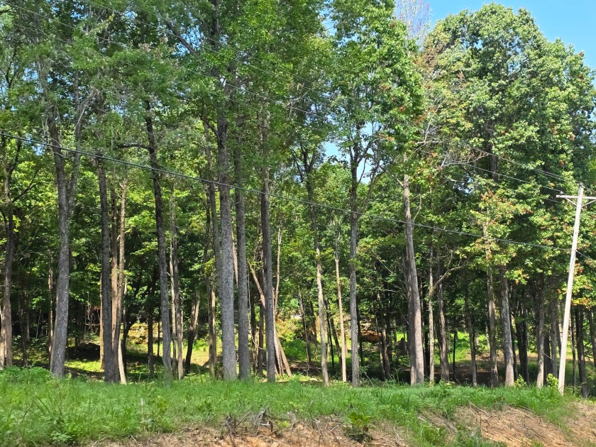 Dreamed of a Family/Friend Compound by the Lake?! - photo 16