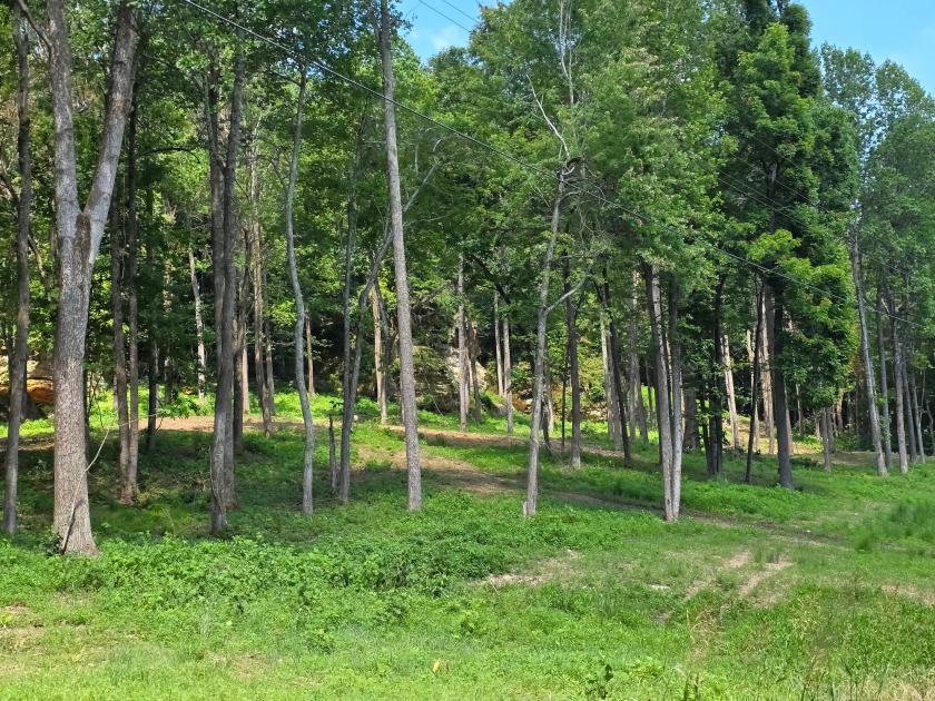 Dreamed of a Family/Friend Compound by the Lake?! - photo 20