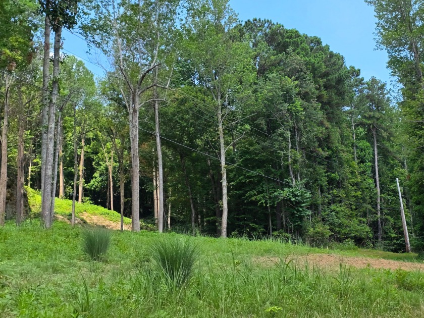 Dreamed of a Family/Friend Compound by the Lake?! - photo 26