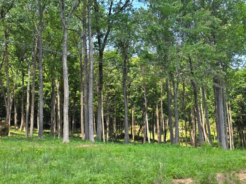 Dreamed of a Family/Friend Compound by the Lake?! - photo 15