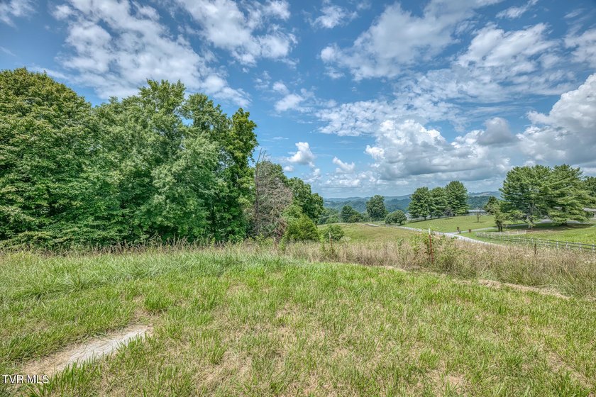 Enjoy 32+/- acres of open pasture and wooded land with - photo 3
