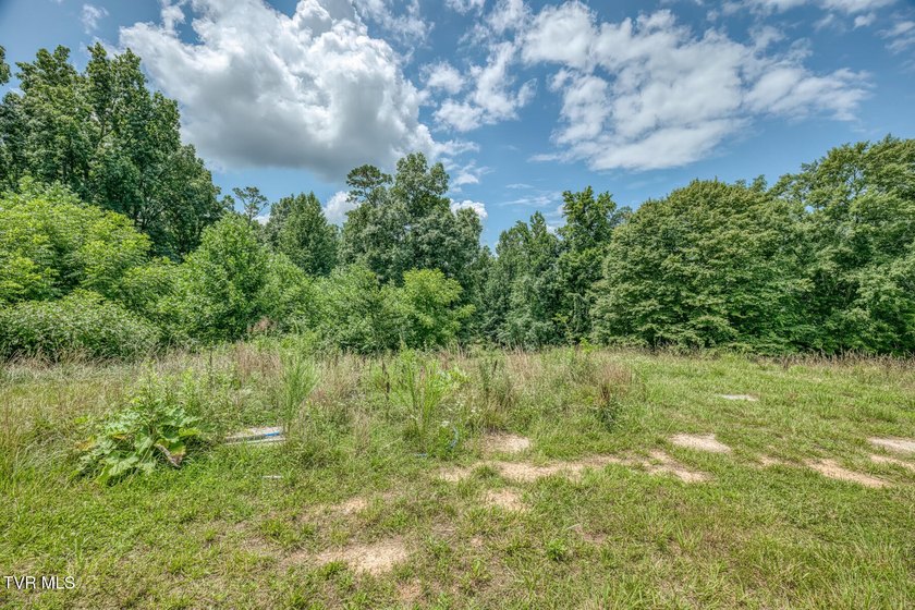 Enjoy 32+/- acres of open pasture and wooded land with - photo 4
