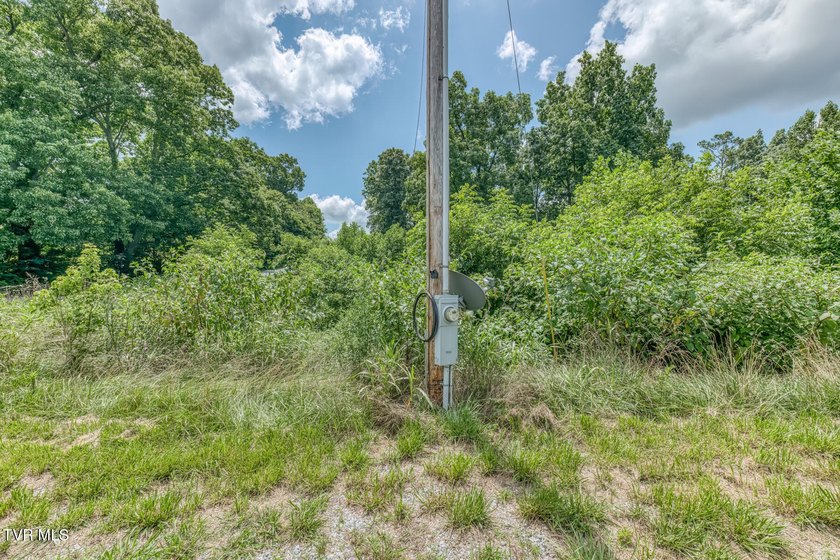 Enjoy 32+/- acres of open pasture and wooded land with - photo 6