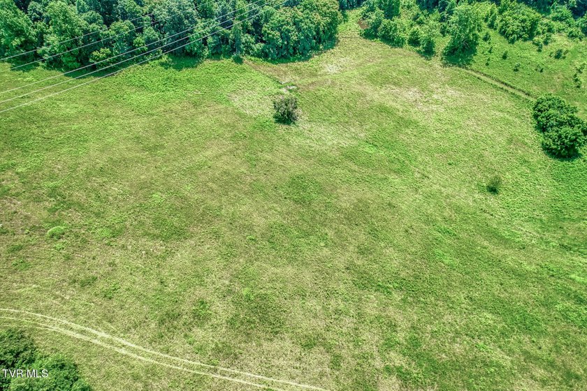 Enjoy 32+/- acres of open pasture and wooded land with - photo 9