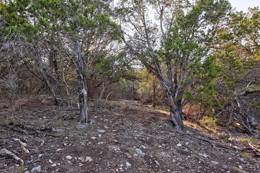 *Slice of Heaven on Earth* Beautiful 10 acre lot to build your - photo 17