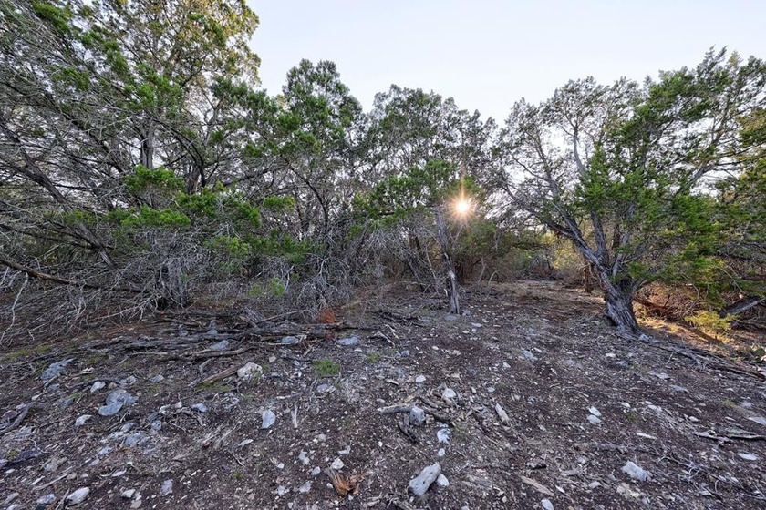 *Slice of Heaven on Earth* Beautiful 10 acre lot to build your - photo 18