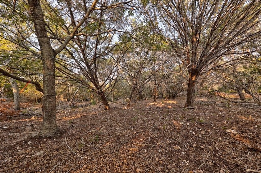 *Slice of Heaven on Earth* Beautiful 10 acre lot to build your - photo 19