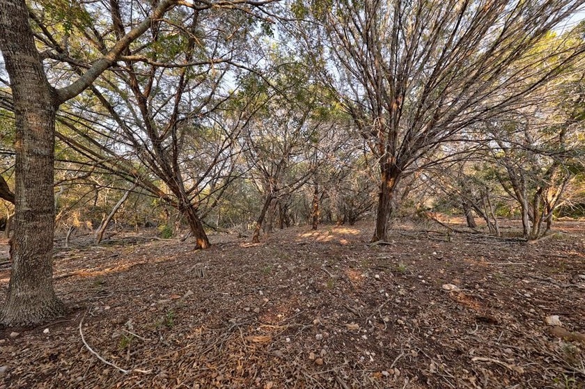 *Slice of Heaven on Earth* Beautiful 10 acre lot to build your - photo 20