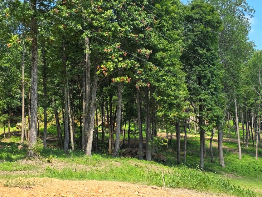 Dreamed of a Family/Friend Compound by the Lake?! - photo 18