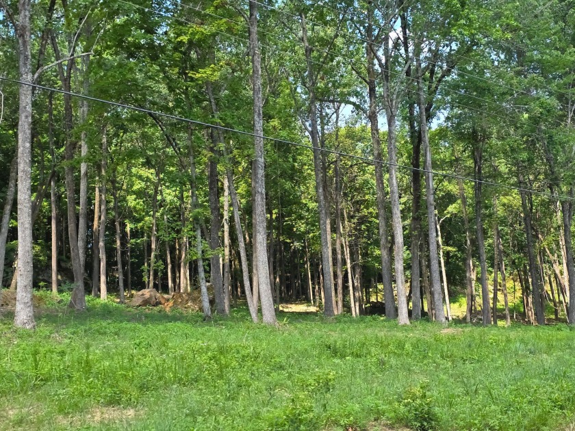 Dreamed of a Family/Friend Compound by the Lake?! - photo 14