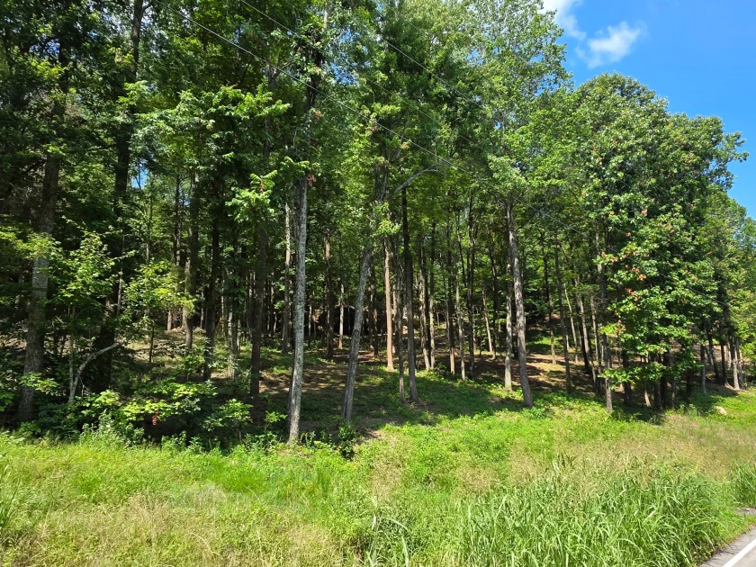 Dreamed of a Family/Friend Compound by the Lake?! - photo 3