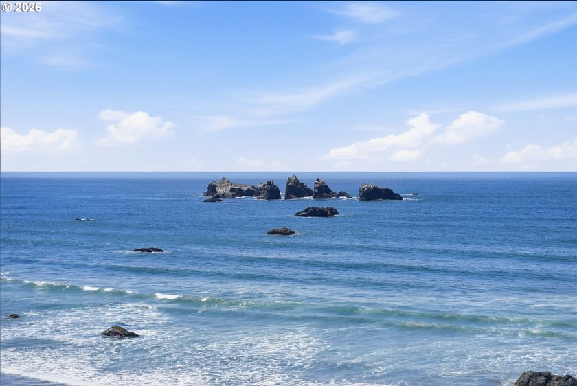 Wake up to the sound of the surf. This .21-acre oceanfront lot - photo 17
