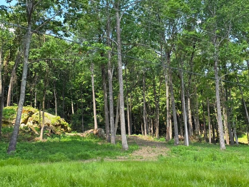 Dreamed of a Family/Friend Compound by the Lake?! - photo 12
