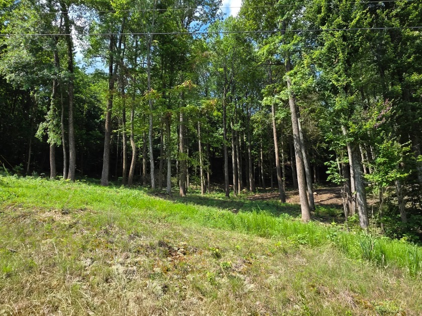 Dreamed of a Family/Friend Compound by the Lake?! - photo 2