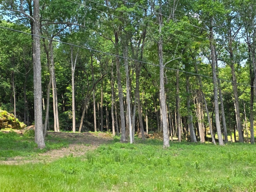 Dreamed of a Family/Friend Compound by the Lake?! - photo 13