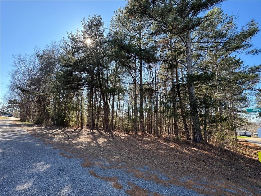 Build your dream home in Townville SC directly across the street - photo 5