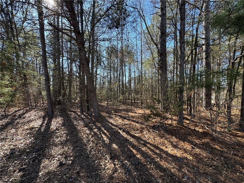 Build your dream home in Townville SC directly across the street - photo 6