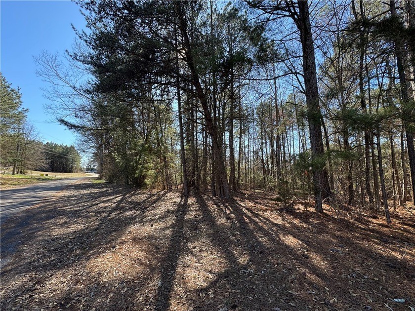 Build your dream home in Townville SC directly across the street - photo 7