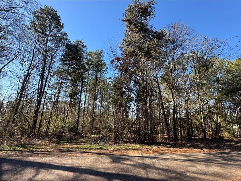 Build your dream home in Townville SC directly across the street - photo 8