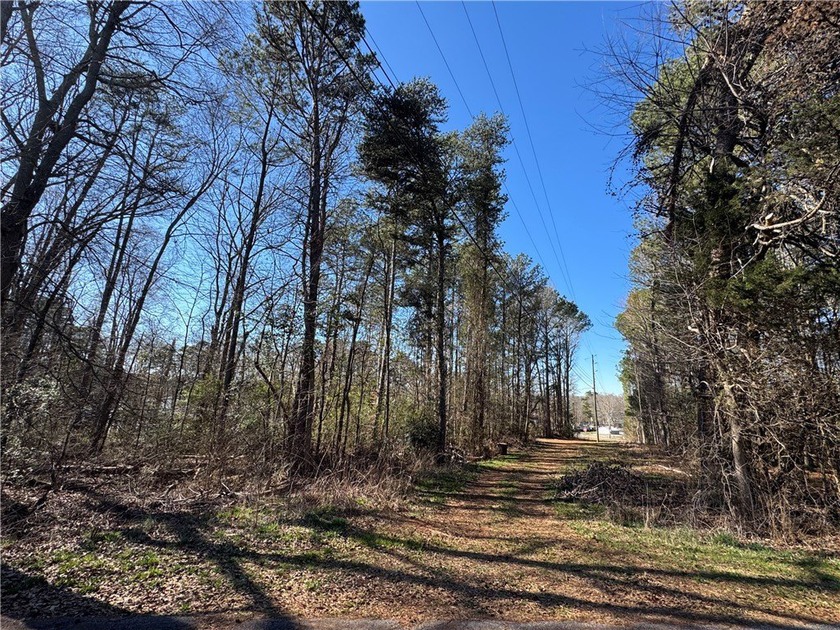 Build your dream home in Townville SC directly across the street - photo 9