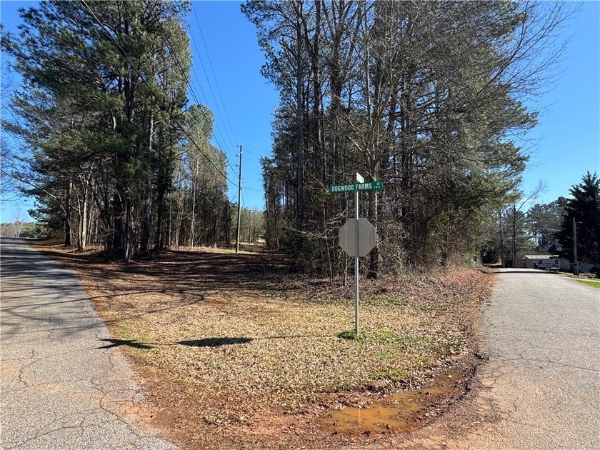 Build your dream home in Townville SC directly across the street - photo 10